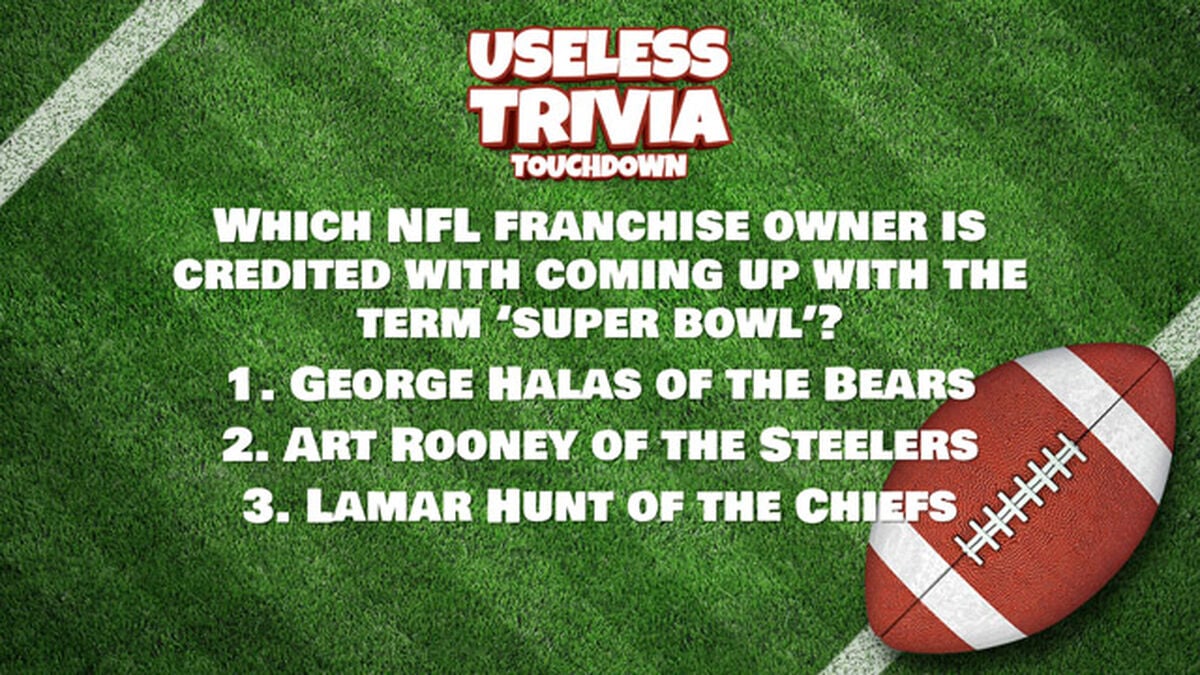 Useless Trivia Touchdown image number null